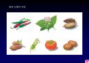 [학습지도안] 서양 근대 사회의 발전 (3) 신항로 개척과 유럽 세력의 확대.ppt 19페이지