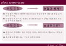 와인 여행  48페이지