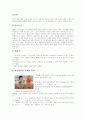 다국적 미디어기업의 소유구조와 현황  13페이지