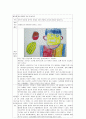 미술 치료프로그램 발굴연구  63페이지