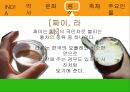 인도 조사 18페이지