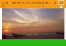 인도 조사 32페이지