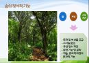 1숲의 야생동물 및 정서적기능 15페이지