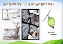 1숲의 야생동물 및 정서적기능 16페이지