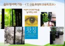1숲의 야생동물 및 정서적기능 21페이지