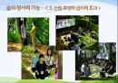 1숲의 야생동물 및 정서적기능 22페이지