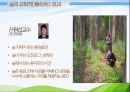 1숲의 야생동물 및 정서적기능 26페이지