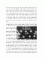 [2016]최신A+자료][전두환대통령의업적과과오&인물평가][전두환대통령의일대기와리더십][전두환과5.18학살과 추징금문제][전두환에대한평가와추징금문제][전두환인물탐구][전두환은누구인가][전두환대통령의정책과정 3페이지