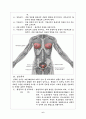 해부학 생식기계통 (Reproductive system) 6페이지