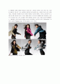 이마트(E-Mart)와 유니클로(Uniqlo)의 현지화, 표준화 사례  10페이지