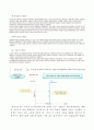 제13강 총수요와 총공급 7페이지