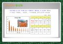 부산관광의 문제점과 미래전망.ppt 20페이지