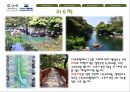 한라산 20페이지