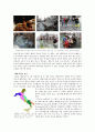 산 마르코 광장(San Marco Piazza)를 중심으로 본 베니스(venice, venezia) 2페이지