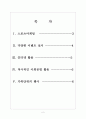 [기아자동차기업분석]기아자동차 마케팅전략분석 보고서 2페이지