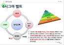 6시그마(6σ) 실행의 성공요인과 기술혁신의 역할에 관한 연구.ppt 16페이지