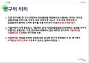 6시그마(6σ) 실행의 성공요인과 기술혁신의 역할에 관한 연구.ppt 39페이지