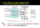 기업의 6시그마 활동이 소비자기반 브랜드 자산에 미치는 영향.ppt 12페이지