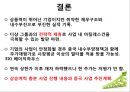 아비스타(AVITA)기업 분석 30페이지