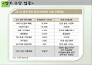 중국마케팅에 대한 고찰, 중국 내수시장을 잡아라 11페이지