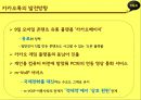 카카오톡 분석 25페이지