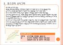 포스코 6시그마 분석 7페이지