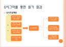 포스코 6시그마 분석 8페이지