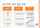 포스코 6시그마 분석 10페이지