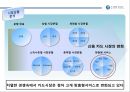 신한카드 아이덴티티 정립을 위한 브랜드 전략 Fit Your Life.ppt 4페이지