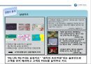 신한카드 아이덴티티 정립을 위한 브랜드 전략 Fit Your Life.ppt 8페이지