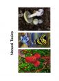 natural toxin 1페이지