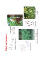 natural toxin 6페이지