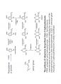 phenolics(3) 4페이지