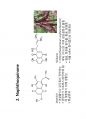 phenolics(3) 7페이지