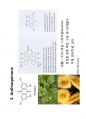 phenolics(3) 9페이지