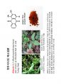 phenolics(3) 13페이지