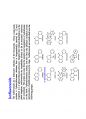 phenolics(2) 8페이지