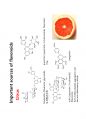 phenolics(2) 10페이지
