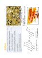 phenolics(2) 13페이지