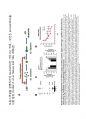 phenolics(2) 23페이지
