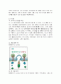 만 3세 ~ 만 5세 유아의 인지 발달의 특성을 설명하고 그 특성별로 유아에게 권할 만한 책을 연령별로 선정하여 그 이유를 설명. 4페이지