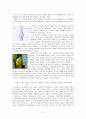 기업 코카콜라 브랜드 분석 7페이지