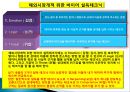해외마케팅 칼럼사례.PPT자료 18페이지