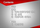 학교사회복지 - 장애아동,비행아동 3페이지