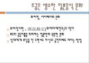 한일문화비교_일본의 음식문화 28페이지