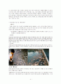 환경과 위험(쓰나미, 신생에너지, 지구온난화, 유전자변형식품) 보고서 14페이지