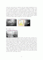 환경과 위험(쓰나미, 신생에너지, 지구온난화, 유전자변형식품) 보고서 31페이지