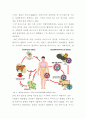 미생물의 유익한 점과 해로운 점 (장단점) 21페이지