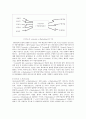 e-마켓플레이스(e-Marketplace)의 정의 4페이지