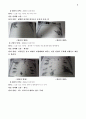 사례양식 4페이지